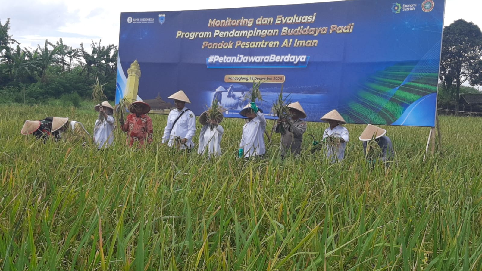 BAZNAS Kota Tangerang Selatan Hadiri Monitoring dan Evaluasi Program Pendampingan Budidaya Padi di Ponpes Al Iman Pandegalang